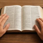 Bibel Texte: Die besten Bibelstellen für Inspiration, Trost und Orientierung bibel texte