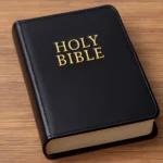 Bibel Umschlag: Die besten Cover-Ideen & Tipps bibel umschlag