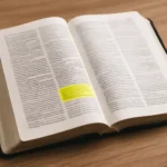 Bibel Verse Kurz: Die besten kurzen Bibelverse für Trost, Inspiration und Alltag bibel verse kurz