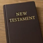 Neues Testament Buch: Die besten Ausgaben im Überblick neues testament buch