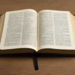 Schlachter Bibel mit Schreibrand – Bedeutung, Varianten & Anwendung schlachter bibel mit schreibrand